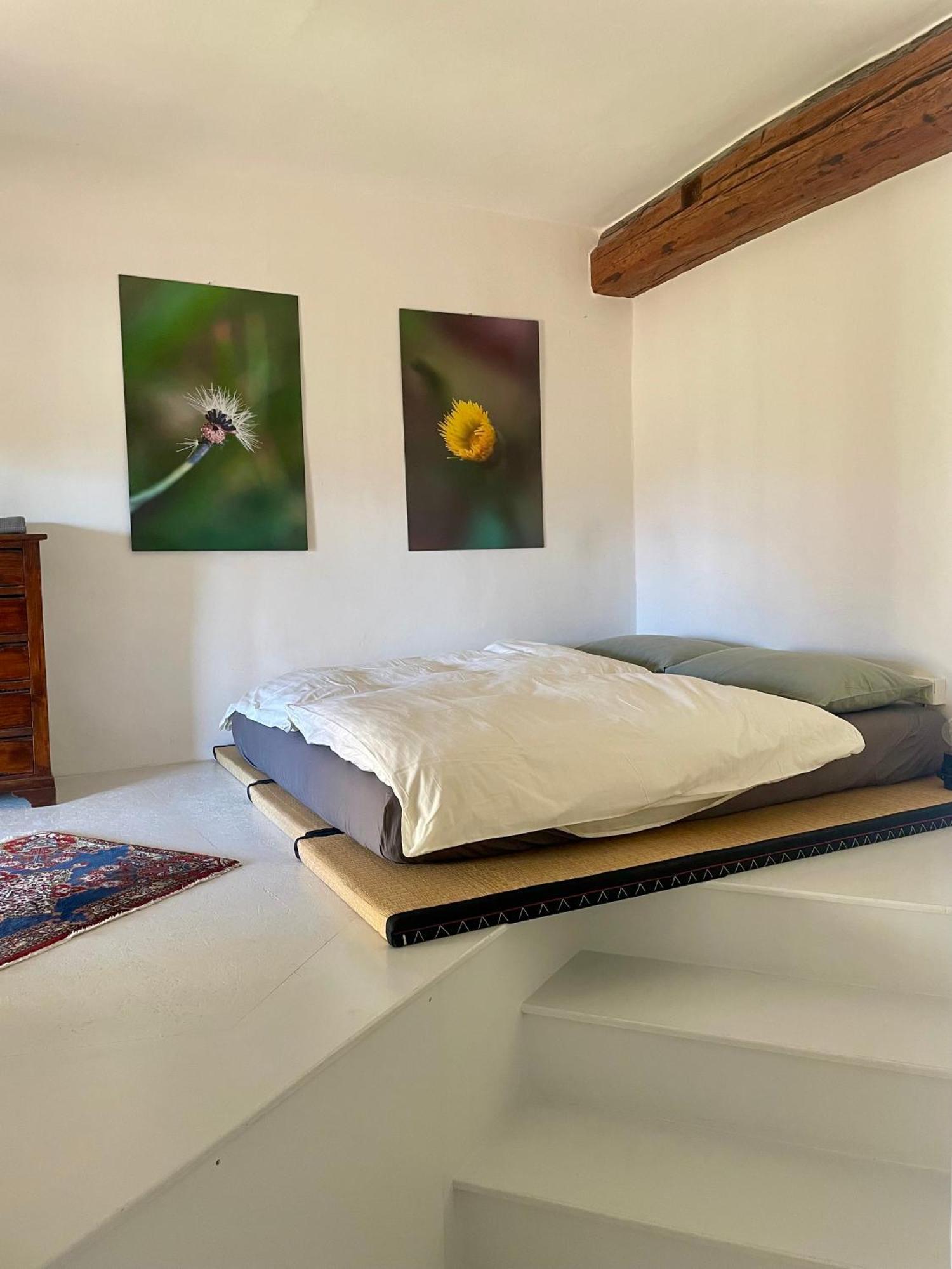 Appartamento Sui Tetti Del Centro Storico Rovereto  Extérieur photo