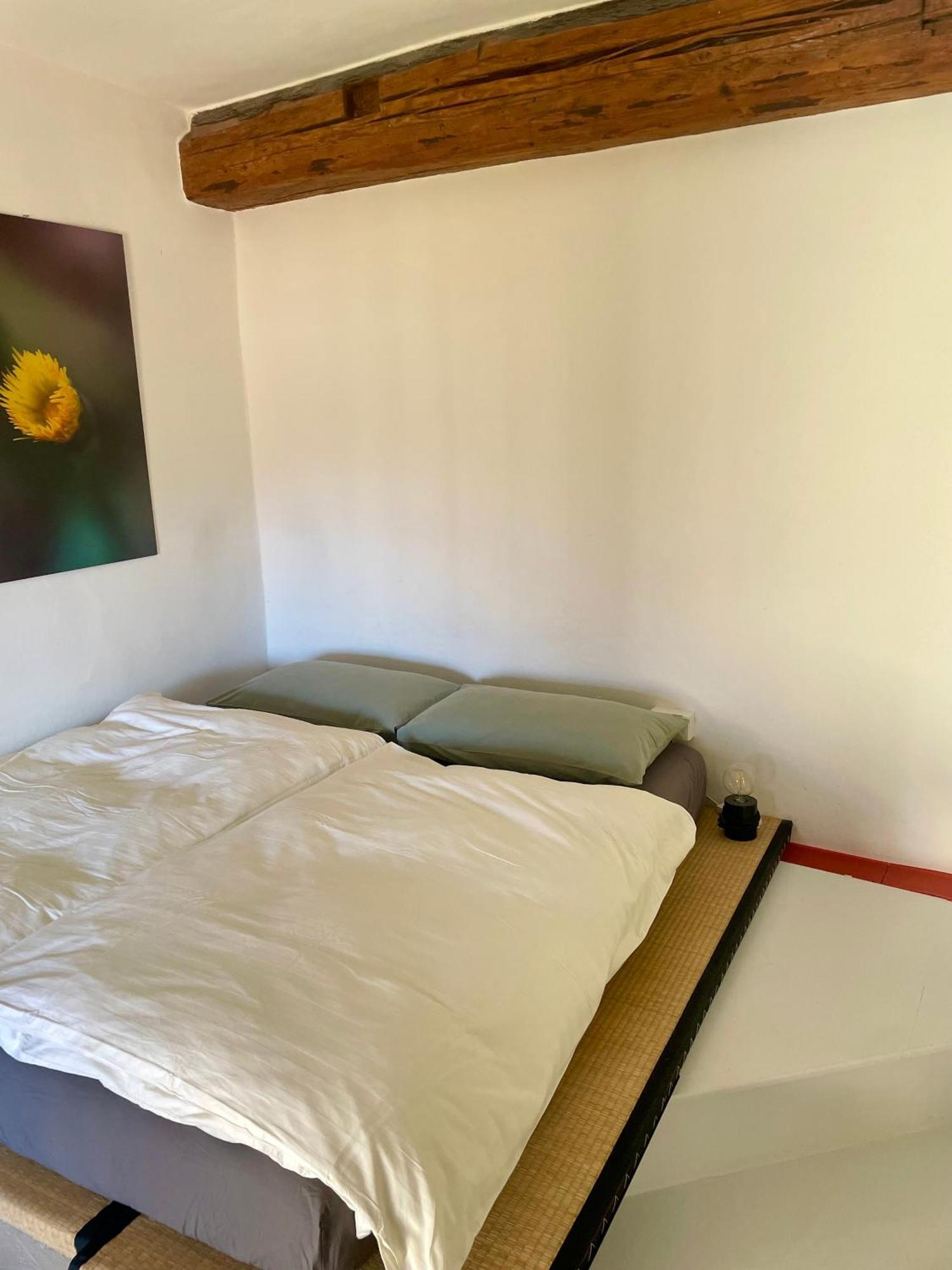 Appartamento Sui Tetti Del Centro Storico Rovereto  Extérieur photo